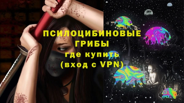 твердый Алексин